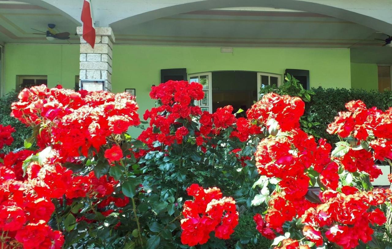 Albergo La Quiete ديسينسانو ديل غاردا المظهر الخارجي الصورة